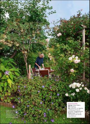 levaochbo-20190816_000_00_00_054.pdf