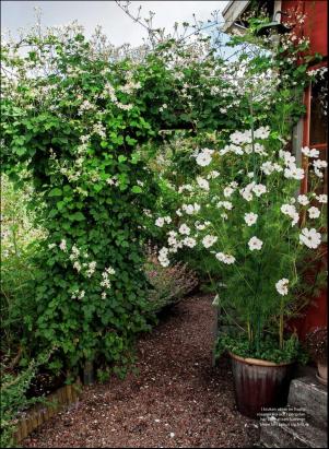 levaochbo-20190816_000_00_00_061.pdf