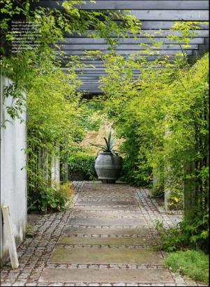 levaochbo-20190823_000_00_00_069.pdf