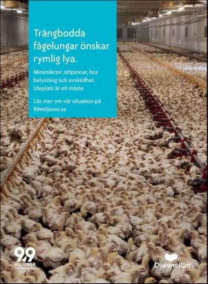 levaochbo-20190823_000_00_00_091.pdf