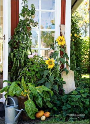 levaochbo-20190830_000_00_00_028.pdf