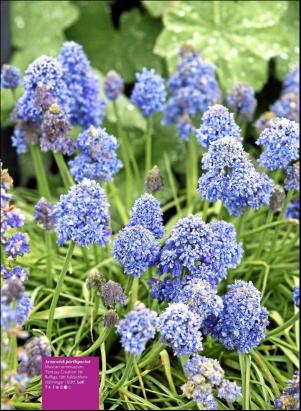 levaochbo-20191004_000_00_00_055.pdf