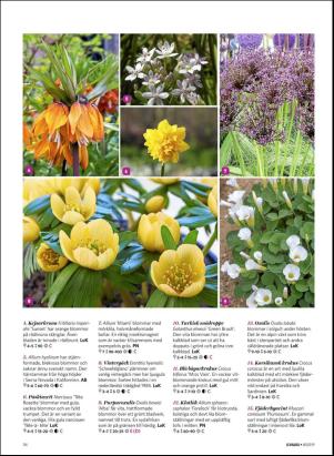 levaochbo-20191004_000_00_00_056.pdf