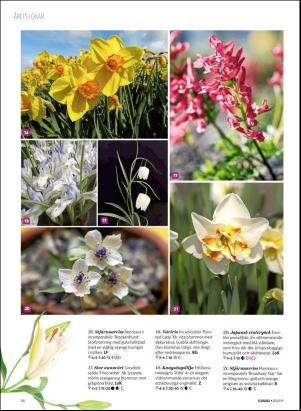 levaochbo-20191004_000_00_00_058.pdf