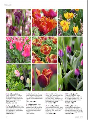 levaochbo-20191018_000_00_00_060.pdf