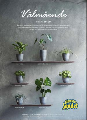 levaochbo-20191025_000_00_00_021.pdf