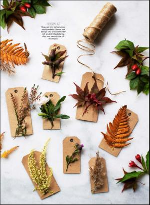 levaochbo-20191025_000_00_00_042.pdf