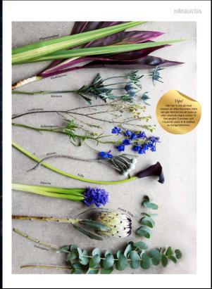 levaochbo-20191213_000_00_00_059.pdf