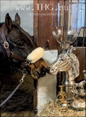 levaochbo-20191220_000_00_00_055.pdf