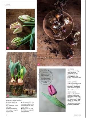 levaochbo-20200110_000_00_00_050.pdf