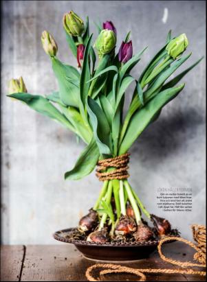 levaochbo-20200110_000_00_00_051.pdf