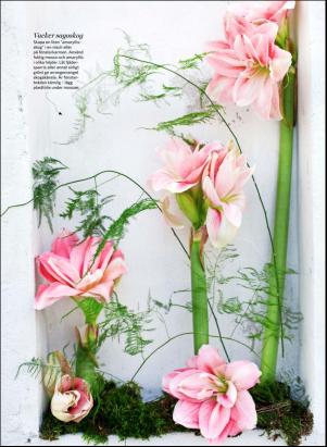 levaochbo-20200117_000_00_00_059.pdf