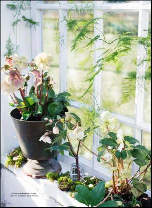 levaochbo-20200117_000_00_00_062.pdf