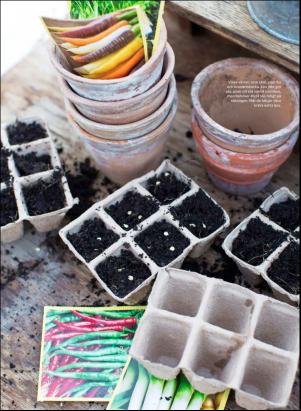 levaochbo-20200117_000_00_00_065.pdf