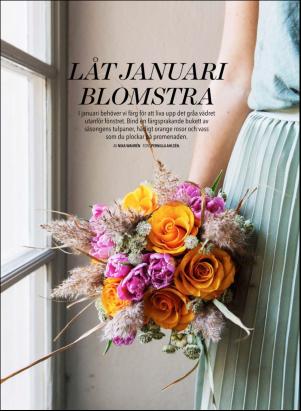 levaochbo-20200124_000_00_00_046.pdf