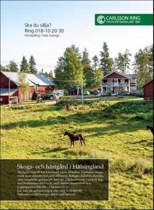 levaochbo-20200131_000_00_00_035.pdf