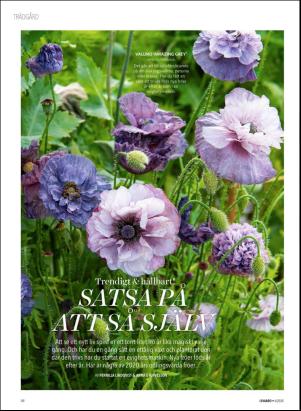 levaochbo-20200207_000_00_00_032.pdf