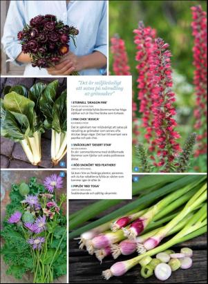 levaochbo-20200207_000_00_00_033.pdf