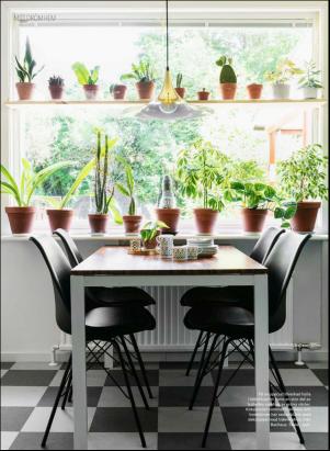 levaochbo-20200207_000_00_00_056.pdf