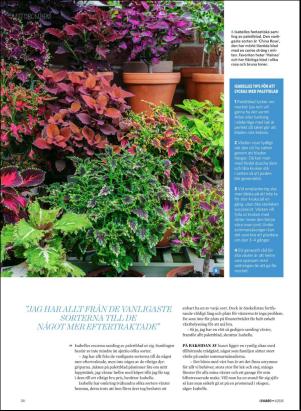 levaochbo-20200207_000_00_00_058.pdf