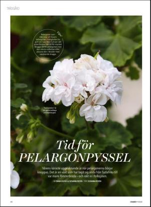 levaochbo-20200228_000_00_00_066.pdf