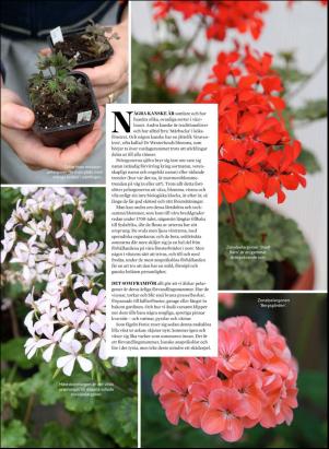 levaochbo-20200228_000_00_00_067.pdf