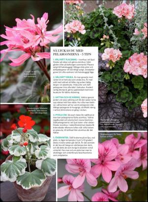 levaochbo-20200228_000_00_00_068.pdf