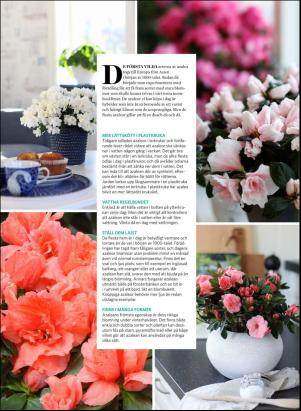 levaochbo-20200306_000_00_00_059.pdf