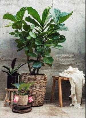 levaochbo-20200313_000_00_00_042.pdf