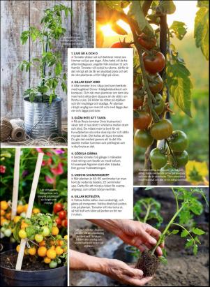 levaochbo-20200313_000_00_00_061.pdf