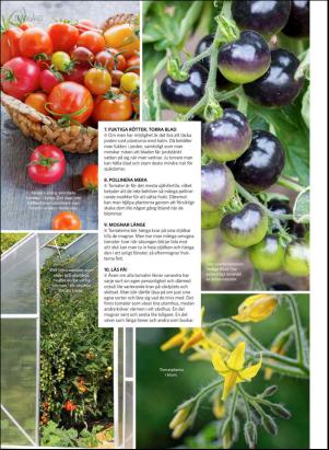 levaochbo-20200313_000_00_00_062.pdf