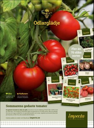 levaochbo-20200320_000_00_00_014.pdf