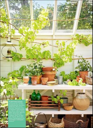 levaochbo-20200320_000_00_00_024.pdf