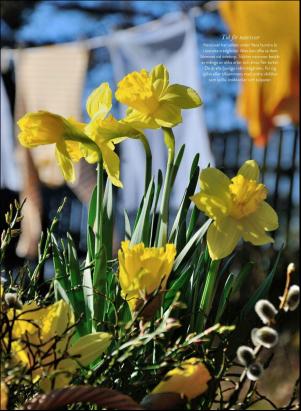 levaochbo-20200403_000_00_00_045.pdf