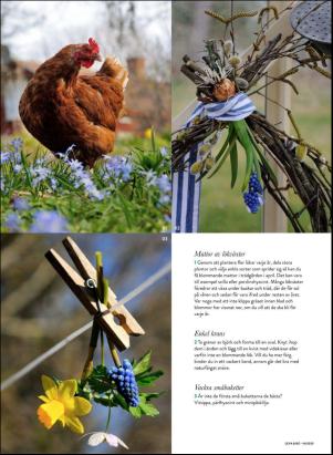 levaochbo-20200403_000_00_00_046.pdf