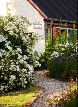 levaochbo-20200410_000_00_00_050.pdf