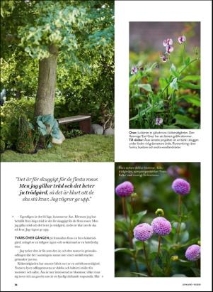 levaochbo-20200410_000_00_00_056.pdf