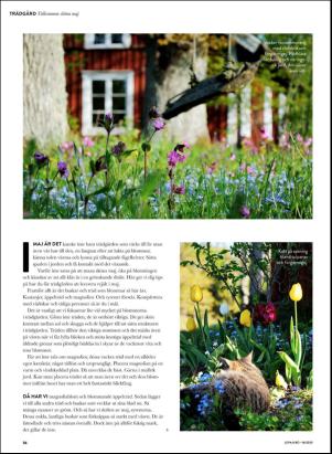 levaochbo-20200417_000_00_00_056.pdf