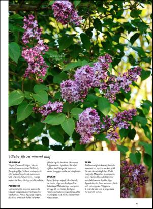 levaochbo-20200417_000_00_00_057.pdf