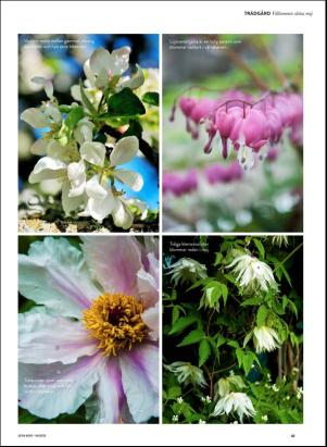 levaochbo-20200417_000_00_00_061.pdf