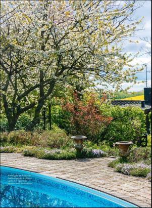 levaochbo-20200424_000_00_00_047.pdf