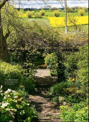 levaochbo-20200424_000_00_00_049.pdf