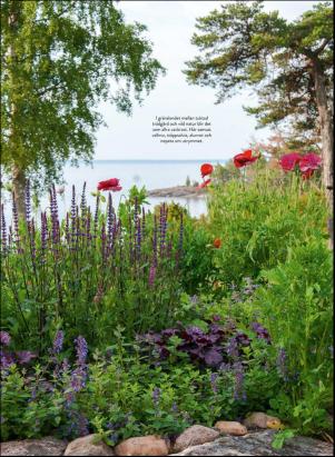 levaochbo-20200522_000_00_00_041.pdf