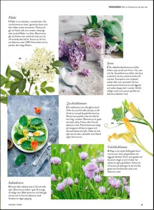 levaochbo-20200529_000_00_00_051.pdf