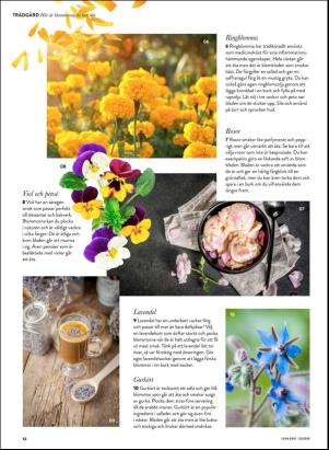 levaochbo-20200529_000_00_00_052.pdf