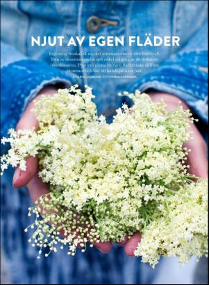 levaochbo-20200612_000_00_00_042.pdf