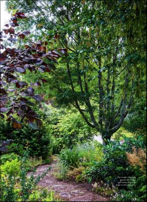 levaochbo-20200612_000_00_00_056.pdf