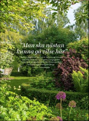 levaochbo-20200619_000_00_00_050.pdf