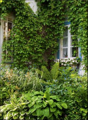 levaochbo-20200619_000_00_00_055.pdf