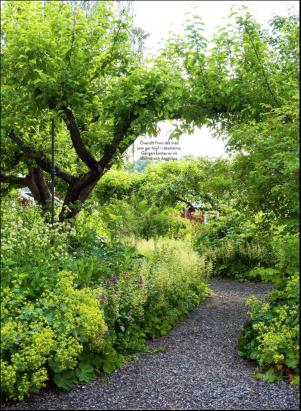 levaochbo-20200619_000_00_00_056.pdf